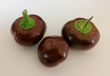 Chilli Cherry Chocolate