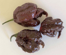 Carolina Reaper Chocolate