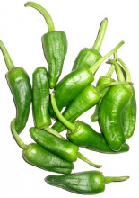 Pimiento de Padron