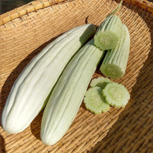 Tortarello Bianco Abruzzese