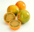 Solanum quitoense - Narančila Balení obsahuje 5 semen