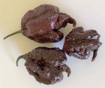 Chilli Carolina Reaper Chocolate 